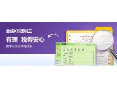金蝶KIS理税王图2