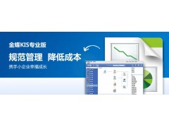 金蝶KIS专业版图2