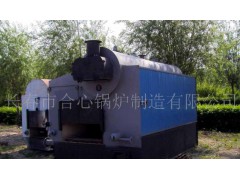 强化燃烧型煤锅炉图1
