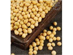 德伟有机黄豆 东北大豆 打豆浆专用新黄豆 非转基因图2
