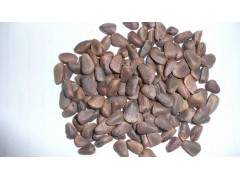 孕妇首选不开口原味野生红松子大颗粒新货250g 未加工生松子图2