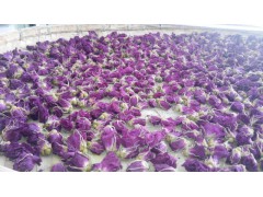 玫瑰干花蕾图2