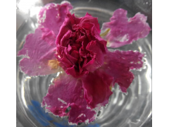 玫瑰干花蕾图3