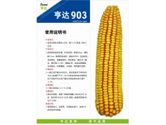 亨达903图2