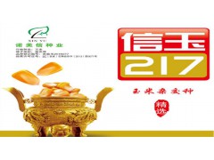 信玉217图2