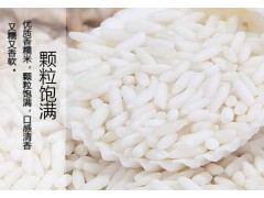 有机糯米图3