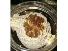 巢蜜 长白山原生态 玻璃瓶1千克蜂巢蜜 黑蜂雪蜜图2