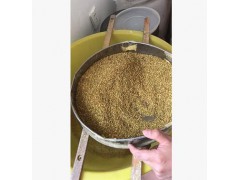 长白山蜂花粉 百花粉图2
