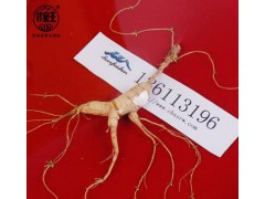 东北吉林特产 长白山林下参批发 带证书礼盒装野山参泡酒滋补图3