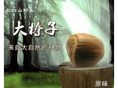 开口榛子图2