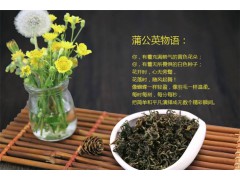 蒲公英茶图2