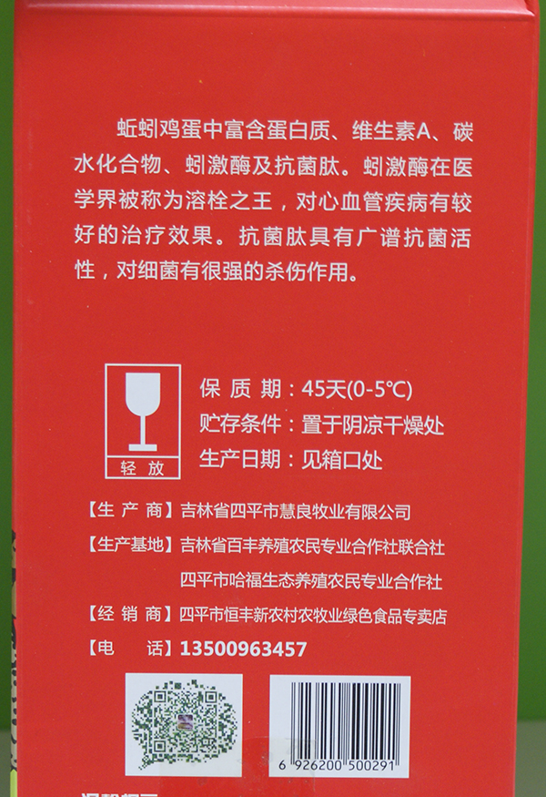 蚯蚓图2
