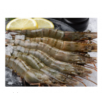 黑虎虾