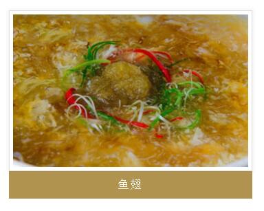 鱼翅图1