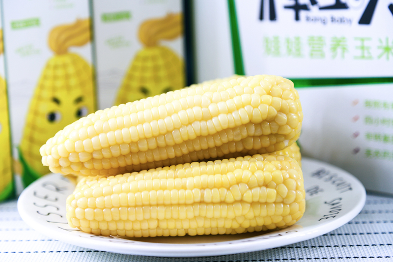 棒宝贝玉米图3