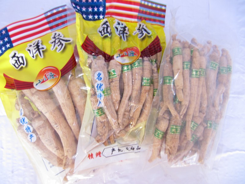 西洋参图2