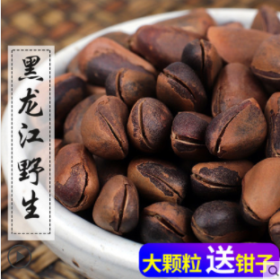 桦山松籽12图3