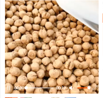 炭泉豆浆豆图3