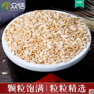 小麦111图2