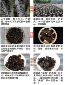东北黑木耳图3
