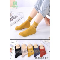 女彩棉10