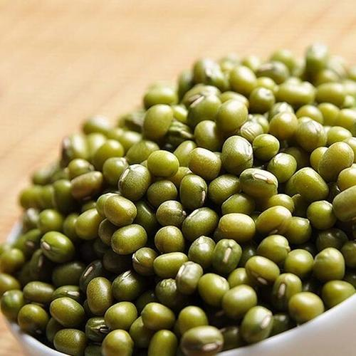 有机绿豆图2