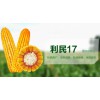 利民17图3