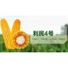 利民4号图3