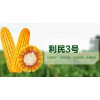 利民3号图3