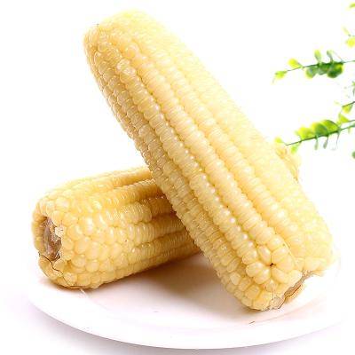 粘玉米图3