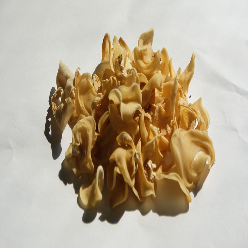 丑粮    玉木耳图3