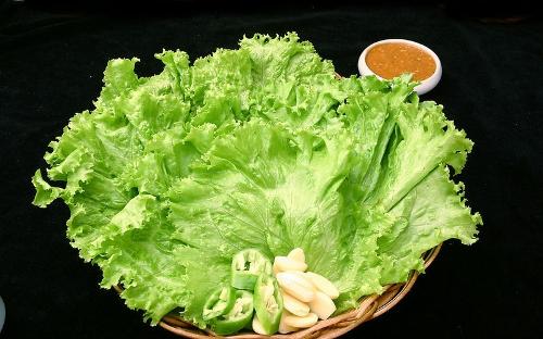 生菜图2