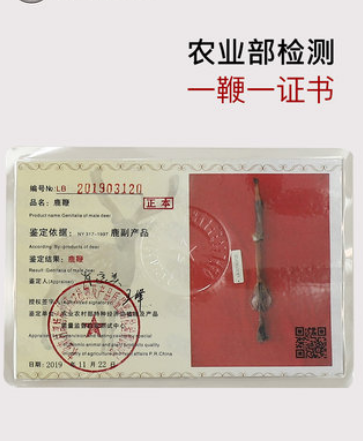梅花鹿花马鹿鞭整根50克图2