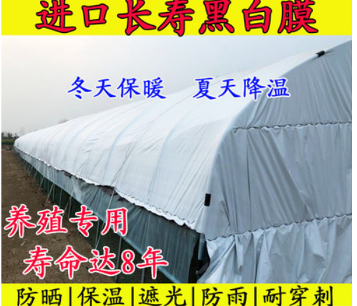 大棚膜图2