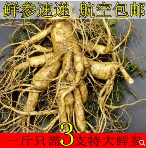 新鲜人参正品大参图2
