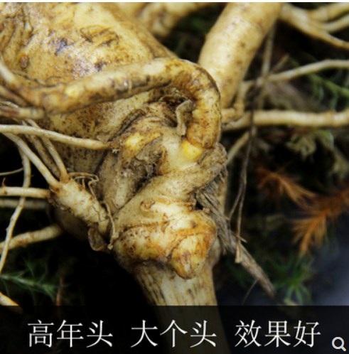 新鲜人参正品大参图3