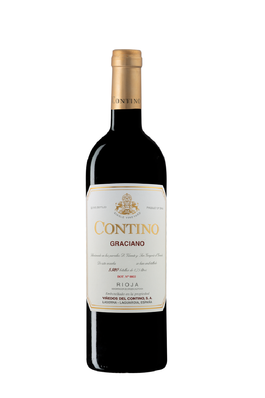 Contino Graciano图2