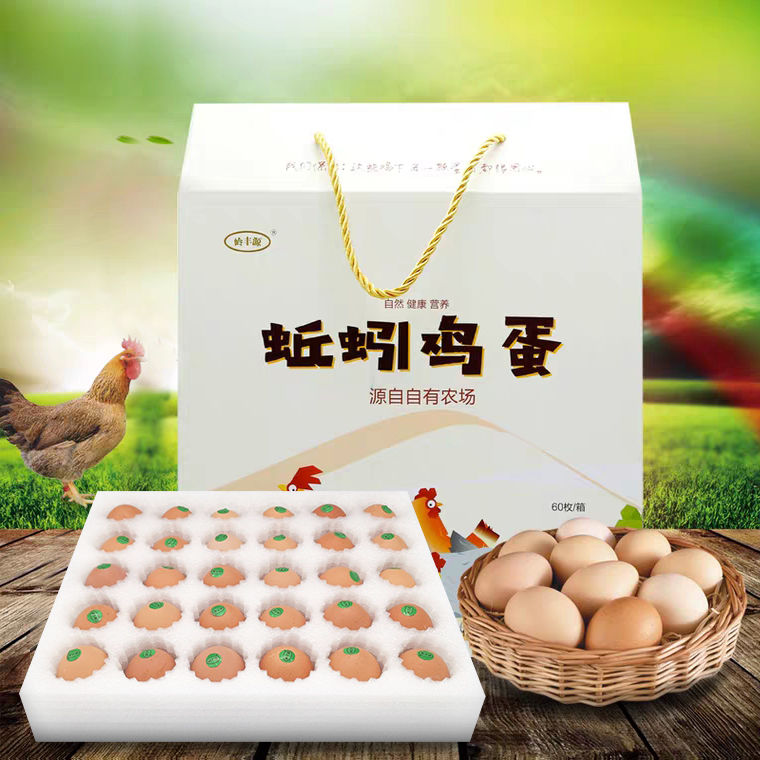 岭丰源牌蚯蚓鸡蛋图2