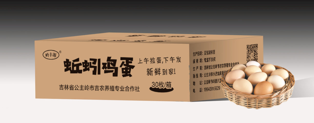 岭丰源牌蚯蚓鸡蛋图3