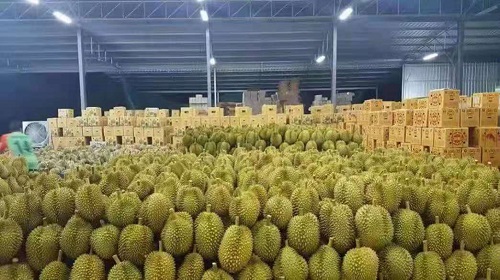 吉林省侯氏国际贸易有限公司图3