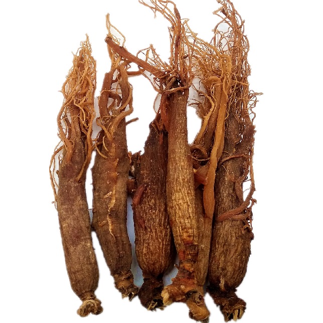 Best No Sugar Red Ginseng Root图2