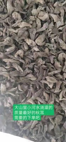 瓶装秋耳图3