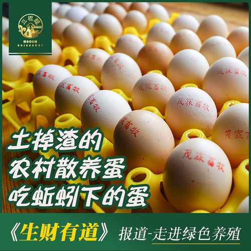 三板福森林蚯蚓土鸡蛋40枚快递装（稻壳加纸箱）图2