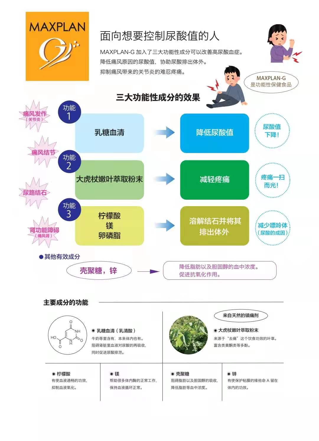 MAXPLAN--G   痛风对策图2
