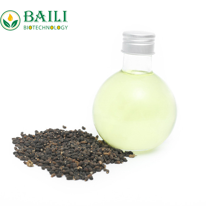 琉璃苣油（Borage oil）图2