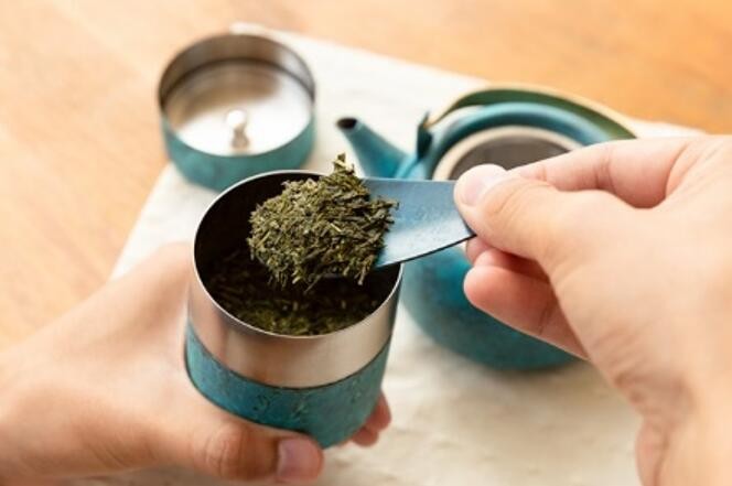 折燕ORI-EN 小茶壶图2