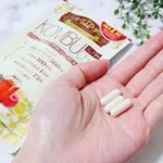 KOMBUCHA 42粒(发酵红茶提取物加工食品)图4